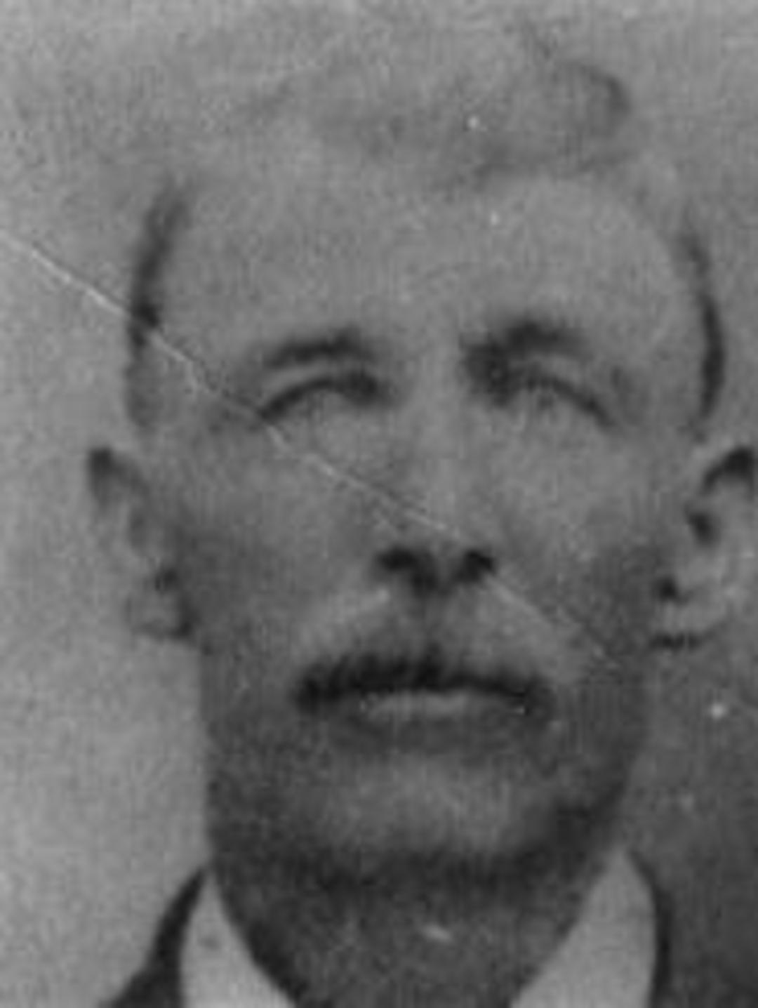 Worthy Franklin Bridges (1838 - 1911) Profile